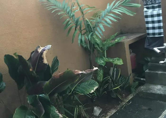 Griya Harum Vakantiehuis